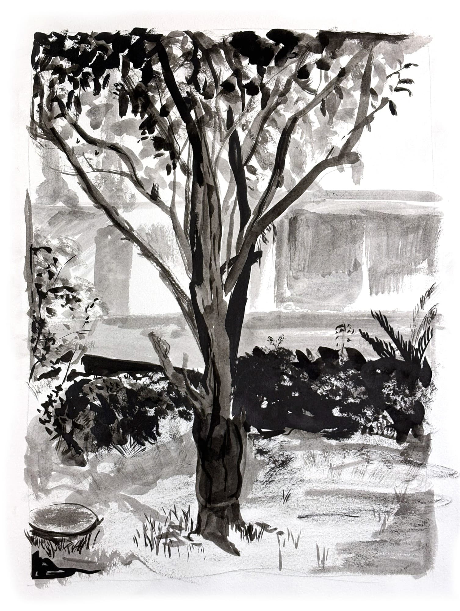 tree